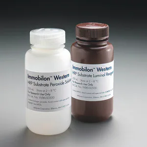 Western Blot 化學發(fā)光底物