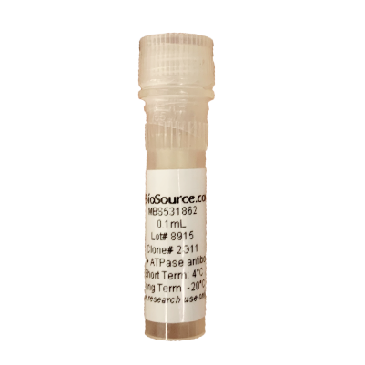 Mouse H+K+ ATPase Monoclonal Antibody 現(xiàn)貨