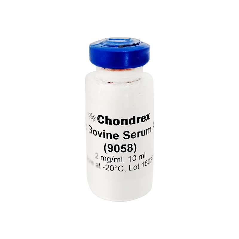 Cationic bovine Serum Albumin (cBSA) 陽離子牛血清白蛋白