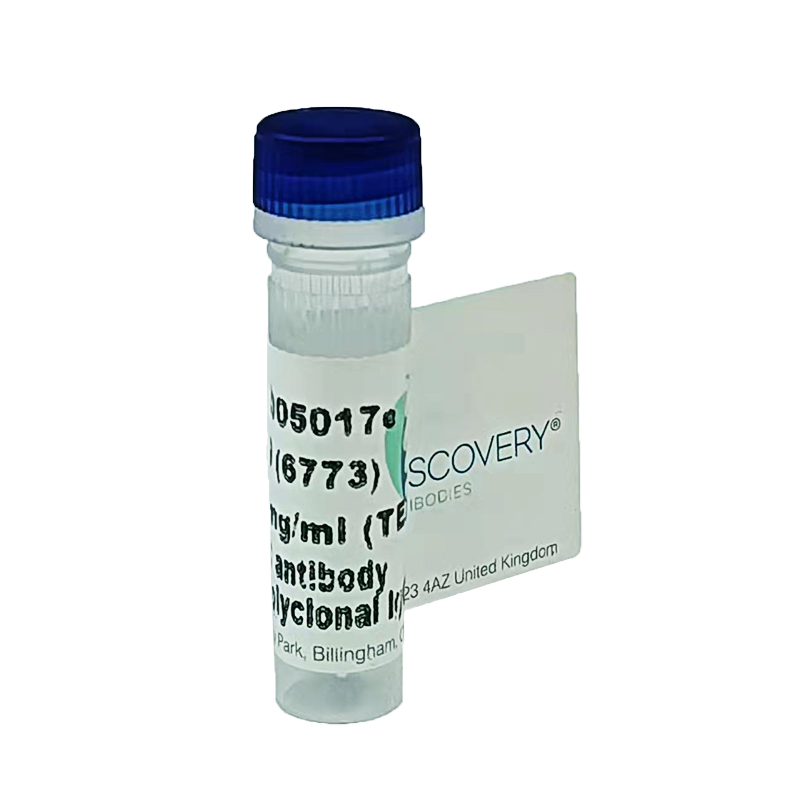 Anti-2SC antibody  crb2005017e/6773