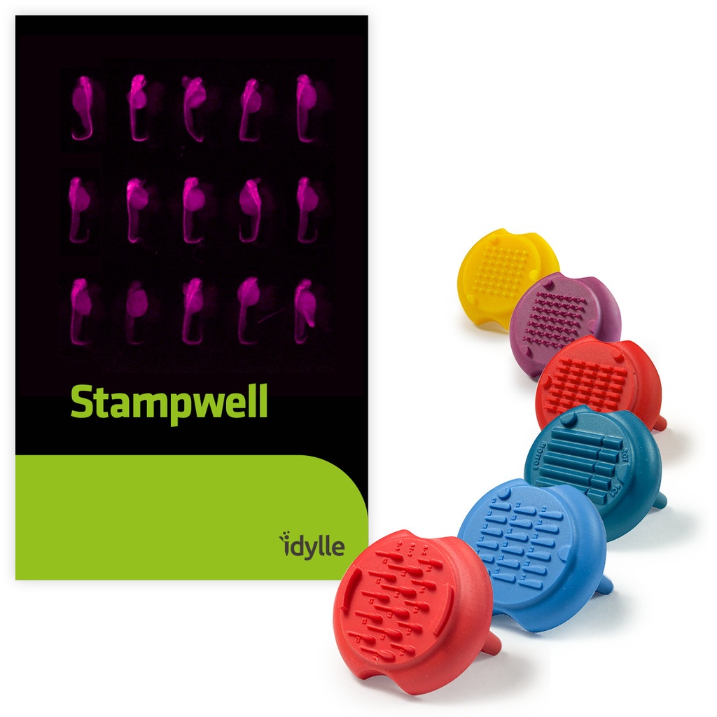 Stampwell-larvae 2 凝膠孔制備（3D細胞成像）