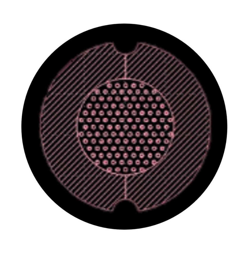 AgarSqueezer Silicium Wafer 硅化物芯片